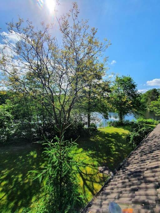 Ferienhaus Blauer See Mit Optionalem Hot-Tub Bockhorn  Εξωτερικό φωτογραφία