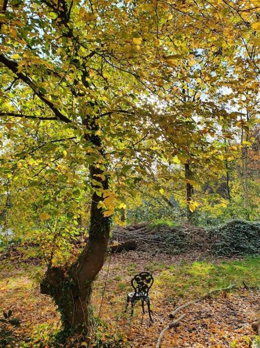 Ferienhaus Blauer See Mit Optionalem Hot-Tub Bockhorn  Εξωτερικό φωτογραφία