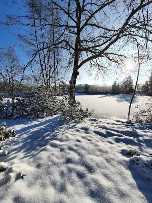Ferienhaus Blauer See Mit Optionalem Hot-Tub Bockhorn  Εξωτερικό φωτογραφία